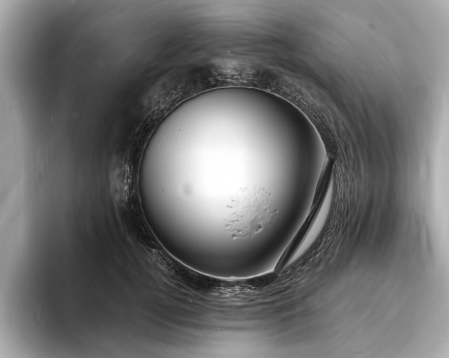 X0000094060752200710261225
