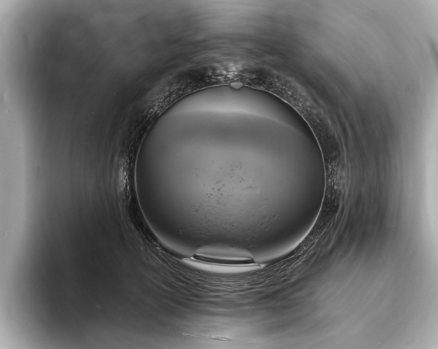 X0000094060754200710261225