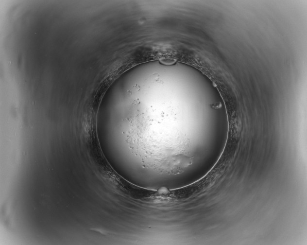 X0000094060756200710261225