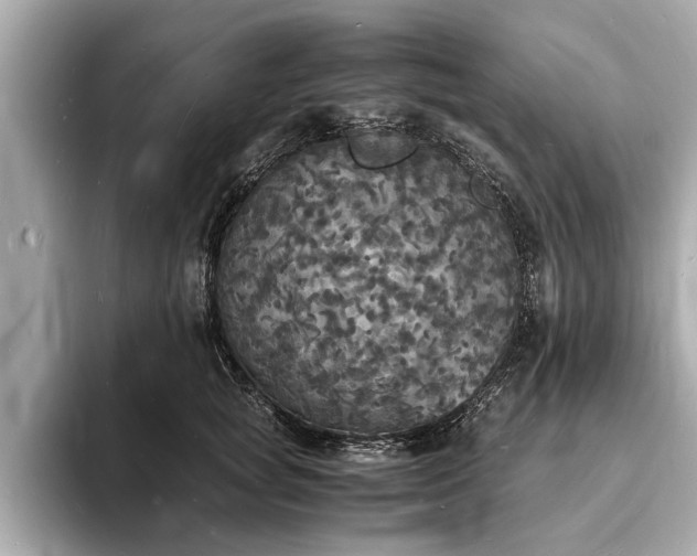 X0000094060757200710261225
