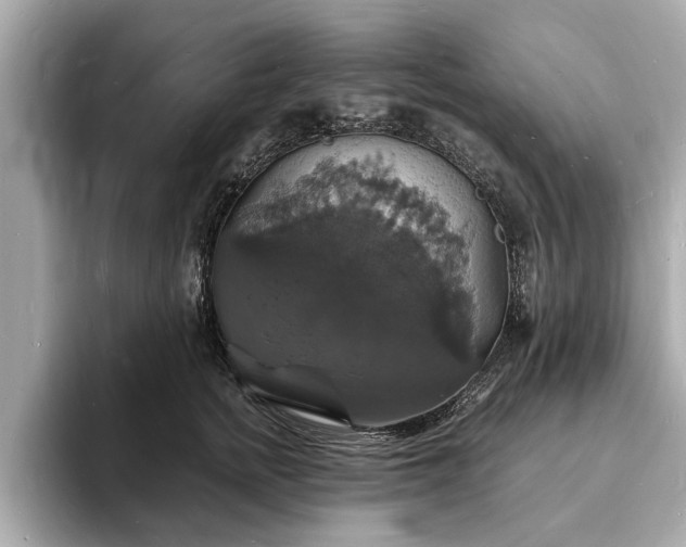 X0000094060758200710261225