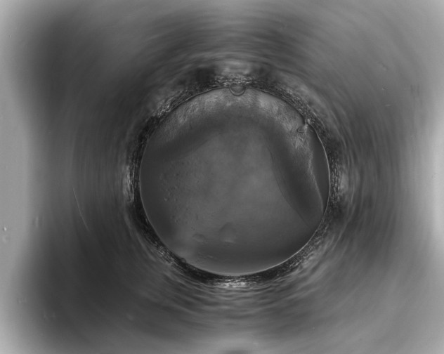 X0000094060759200710261225