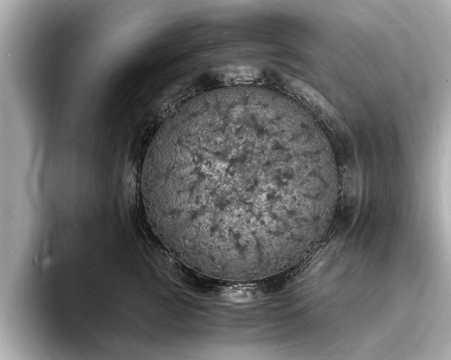 X0000094060761200710261225