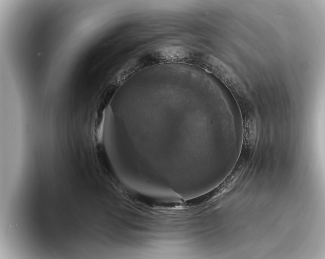 X0000094060762200710261225