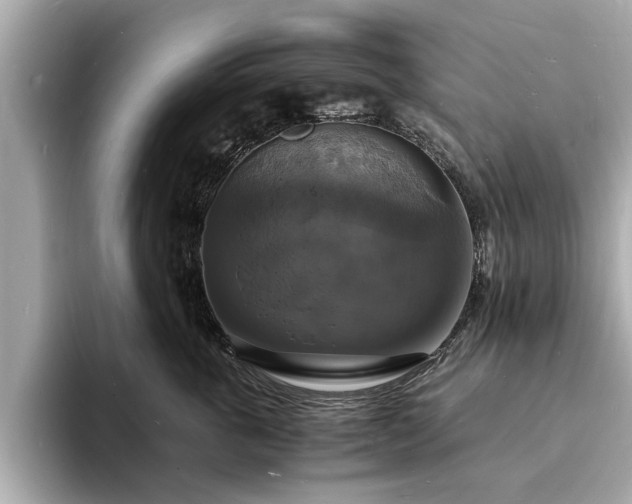 X0000094060763200710261225