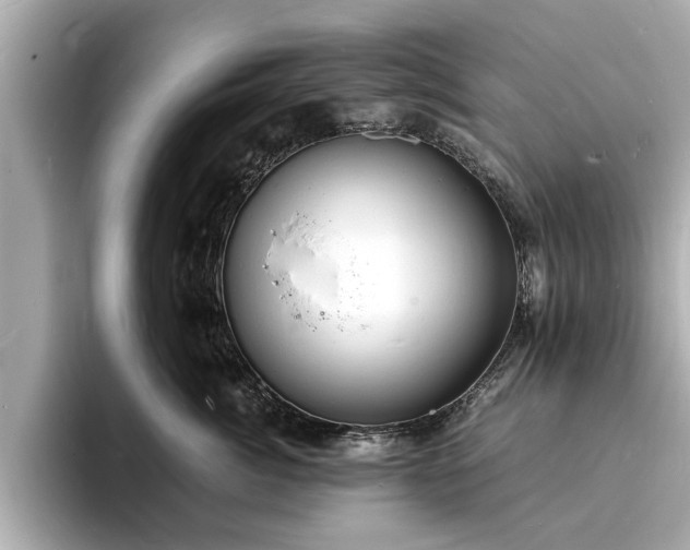 X0000094060764200710261225