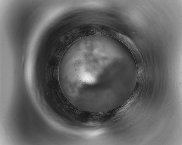 X0000094060765200710261225