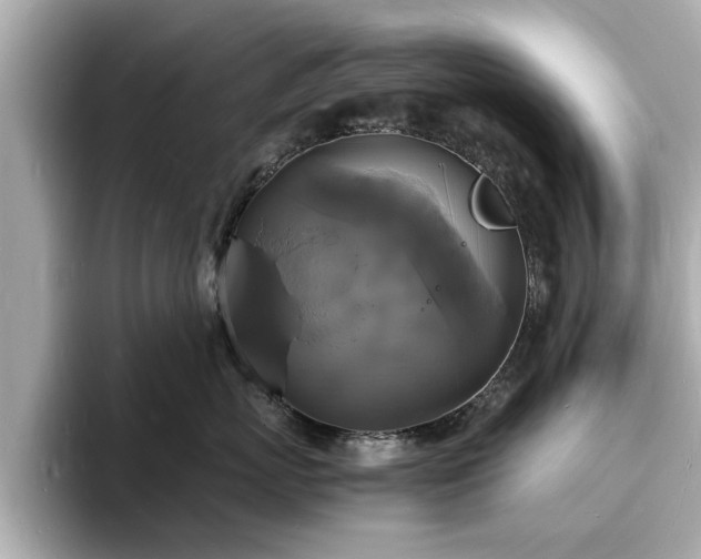 X0000094060767200710261225