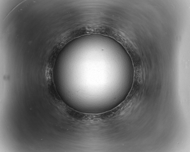 X0000094060770200710261225