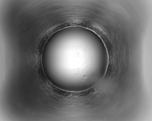 X0000094060773200710261225