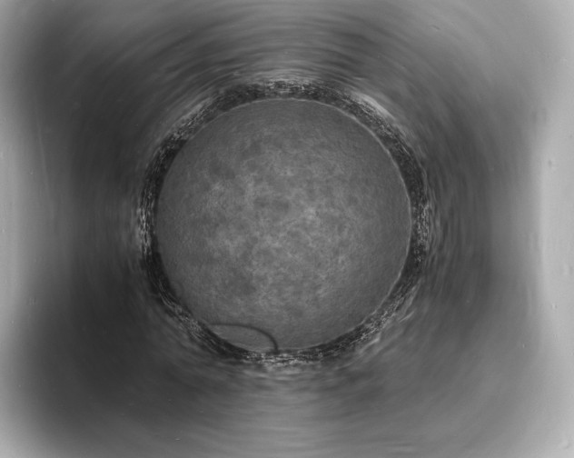 X0000094060774200710261225