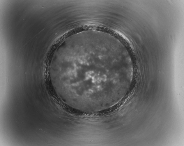 X0000094060775200710261225
