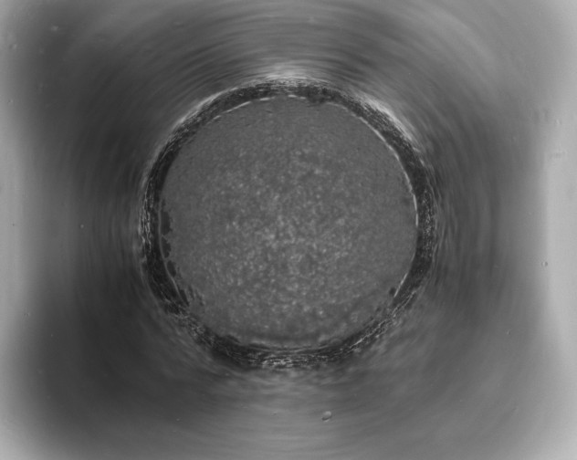 X0000094060776200710261225