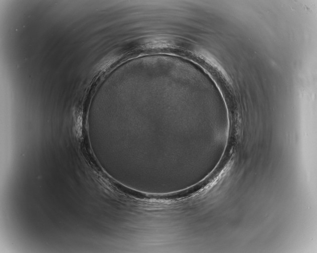 X0000094060777200710261225