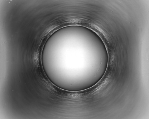 X0000094060778200710261225