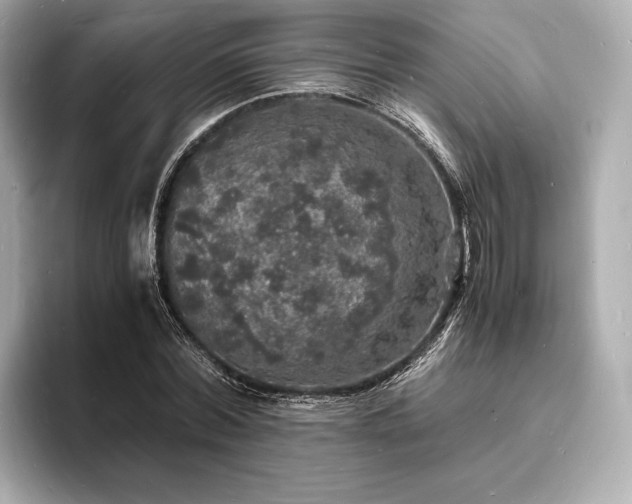 X0000094060780200710261225
