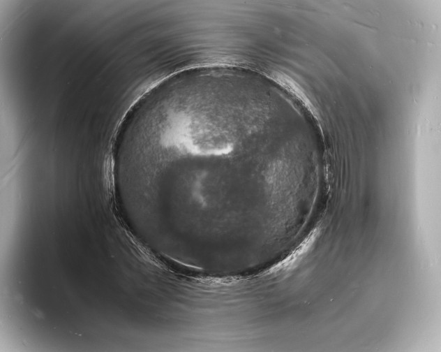 X0000094060781200710261225