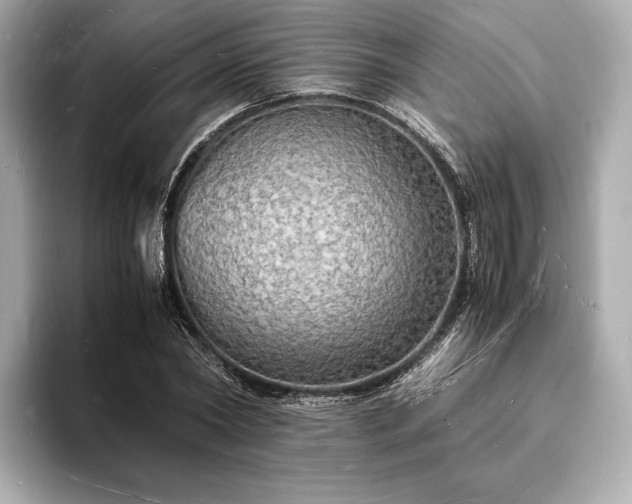 X0000094060782200710261225