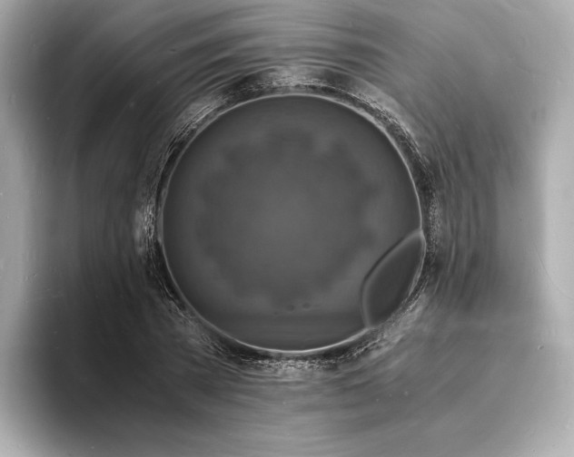X0000094060785200710261224