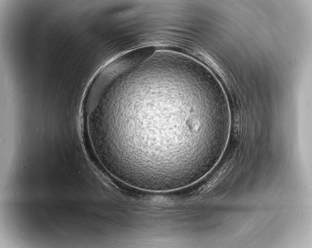 X0000094060787200710261224