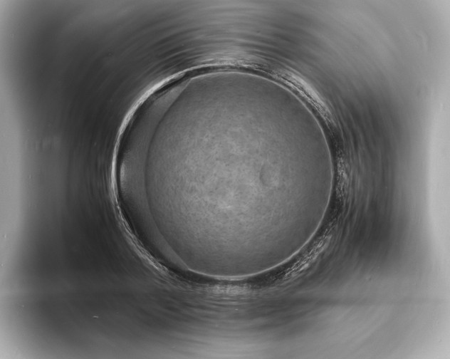 X0000094060788200710261224