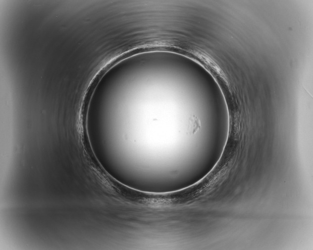 X0000094060789200710261224
