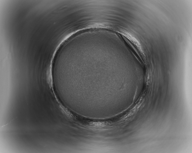 X0000094060792200710261224