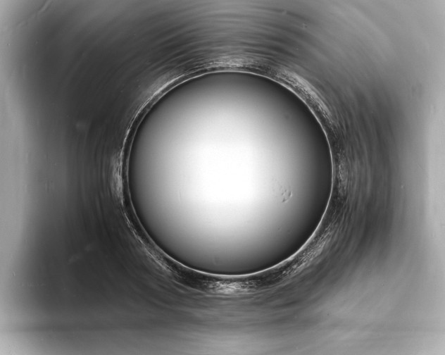 X0000094060794200710261224