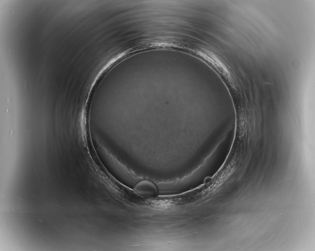 X0000094060798200710261224