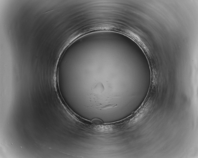 X0000094060802200710261224