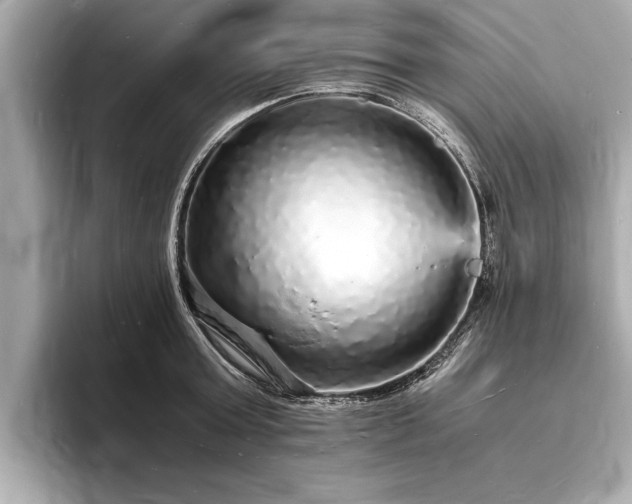 X0000094060803200710261224