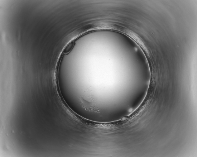 X0000094060805200710261224