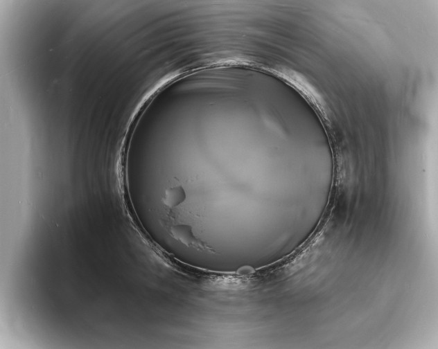 X0000094060806200710261224