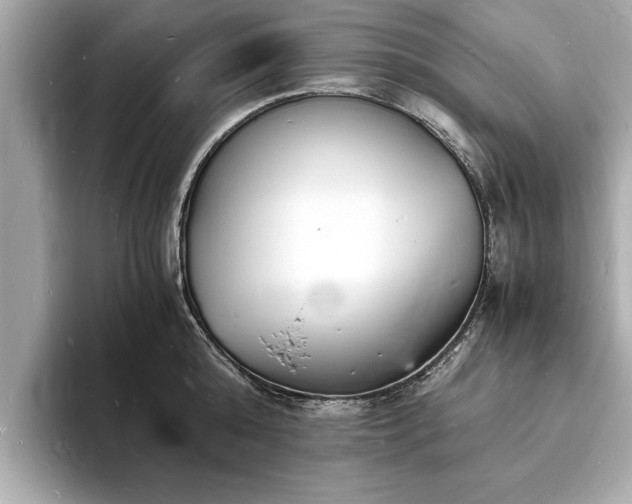 X0000094060808200710261224