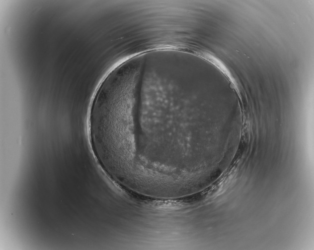 X0000094060811200710261224