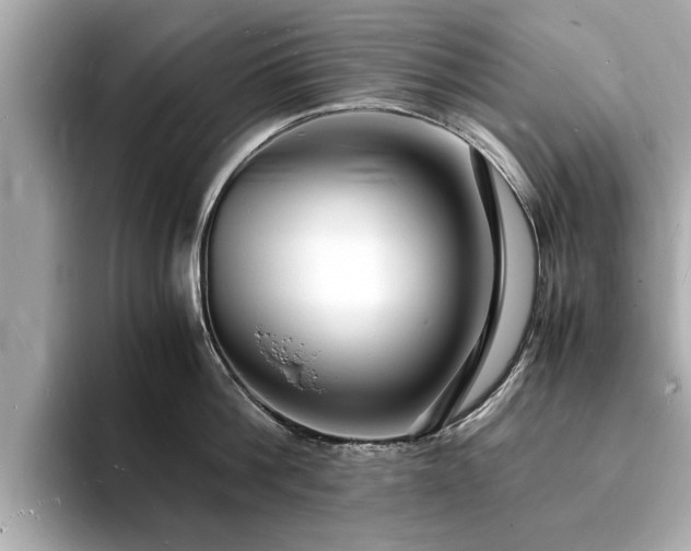 X0000094060812200710261224