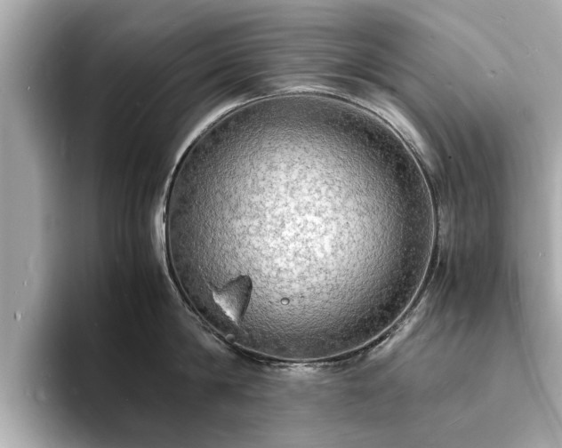 X0000094060814200710261224
