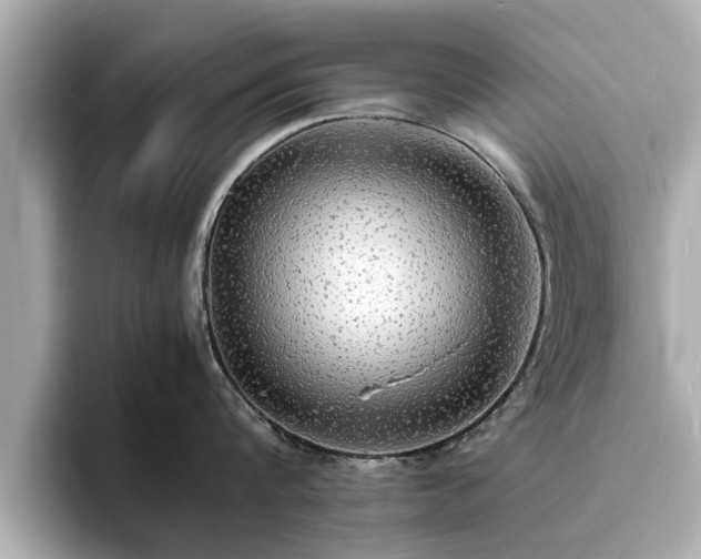 X0000094060816200710261224