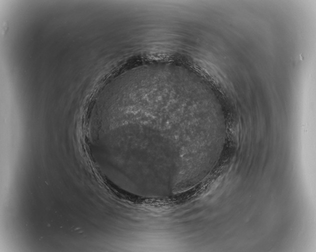 X0000094060817200710261223