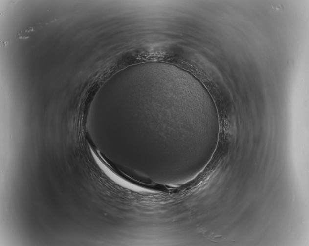 X0000094060818200710261223