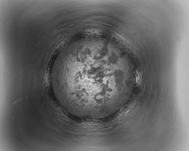 X0000094060819200710261223