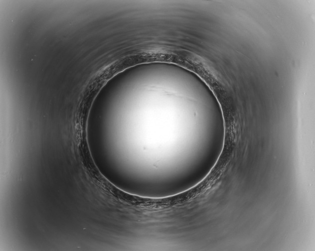 X0000094060821200710261223