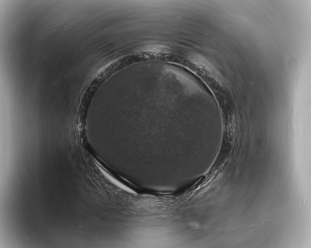 X0000094060822200710261223