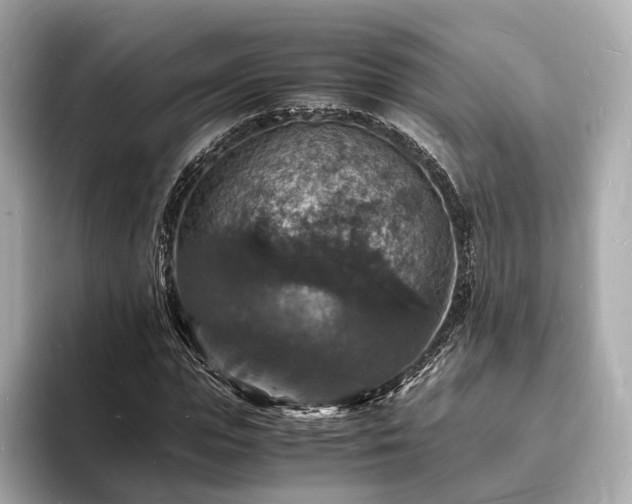 X0000094060823200710261224