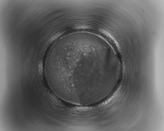 X0000094060825200710261224