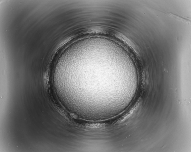 X0000094060826200710261224