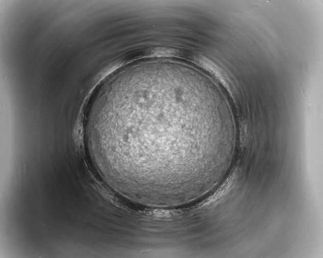 X0000094060827200710261224