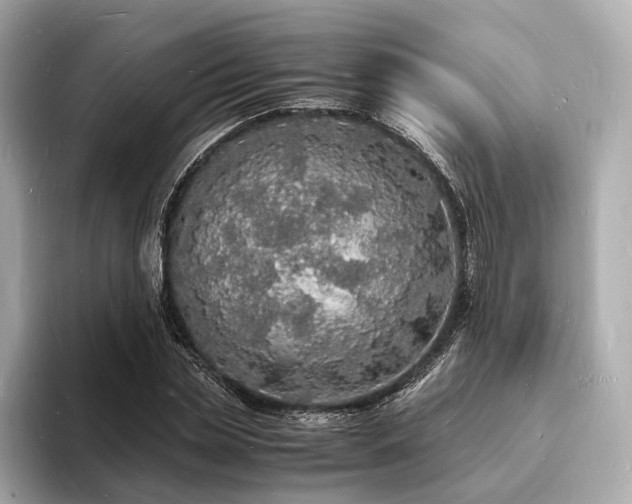 X0000094060829200710261224