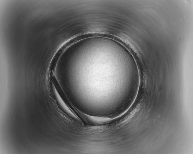 X0000094060830200710261224
