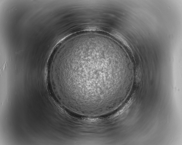 X0000094060831200710261224